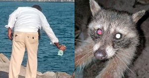 Hombre es captado al rociar químicos a mapaches en Playa Miramar, Tamaulipas