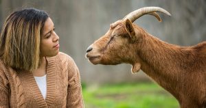 México es un país donde los derechos de los animales aún no son prioridad.