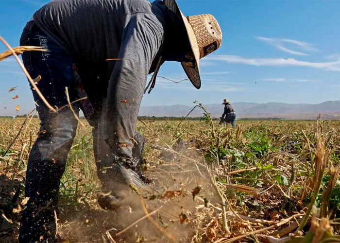 Paisanos reaccionan con preocupación por los aranceles de Trump