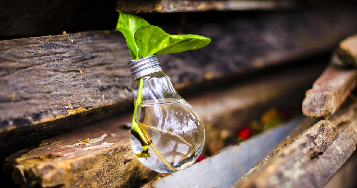 Cuidado del medio ambiente