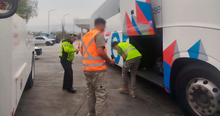 Profepa asegura 320 tortugas en operativo carretero.