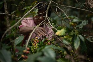 Las mujeres y los niños son los más afectados, pero nadie se salva de los abusos.