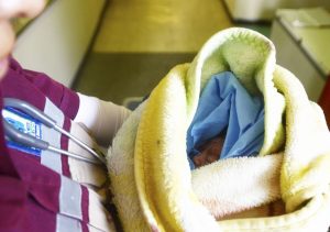 Alerta por sustancias tóxicas en colchones infantiles: consejos para crear un entorno