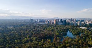 El principal pulmón de la CdMx es acechado por una inmobiliaria con ayuda de jueces.