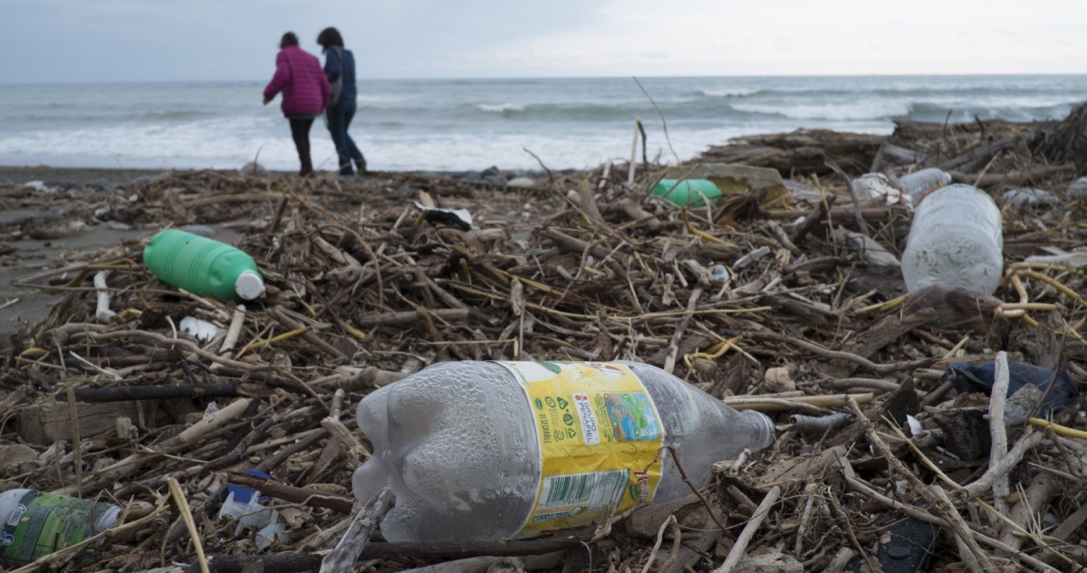Cofepris detecta 6 playas con niveles de contaminación por encima de los límites.