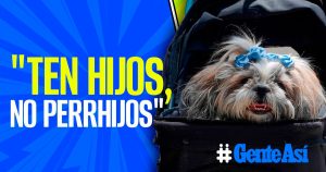 Titular de la SEP-Tabasco pide criar bebés y no "perrhijos".