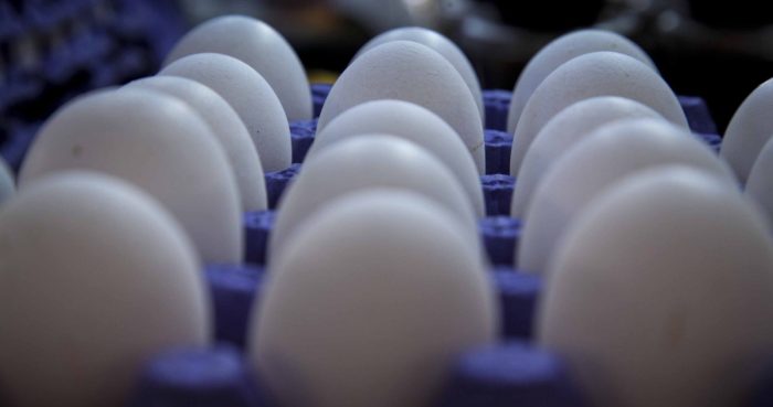 Primer caso de gripe aviar se registra en una niña en Durango.