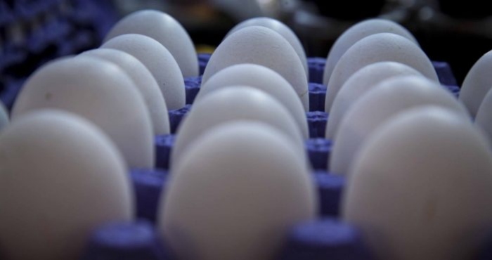 Primer fallecimiento humano por H5N1 en México.