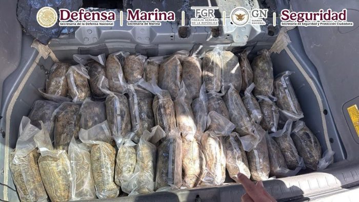 La Secretaria de Seguridad Protección Ciudadana aseguró 250 litros de heroína líquida y 47 kilos de metanfetamina en Durando y Coahuila.