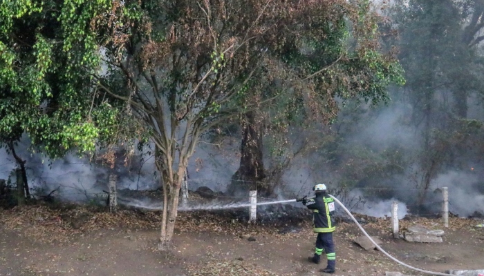 Incendios en el Tepozteco devastan más de mil hectáreas; FFAA controlan el 50%.