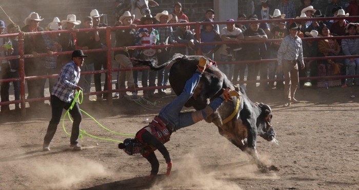 Michoacán prohíbe las corridas de toros.
