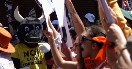 Empresarios taurinos combaten las reformas para poder usar violencia en la plaza.