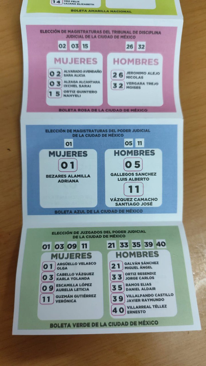 Acordeón elección judicial