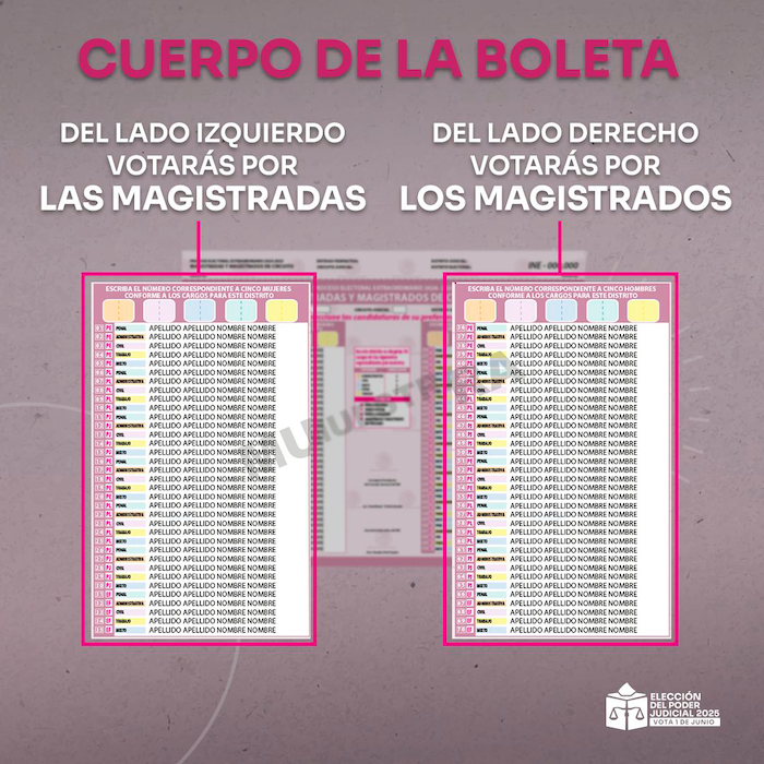 Boleta para Magistraturas de Circuito. 