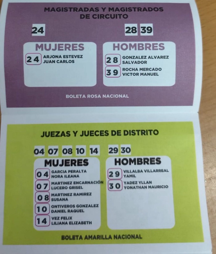 Acordeón elección judicial