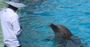 Empty the Tanks México ha hecho un trabajo valiente