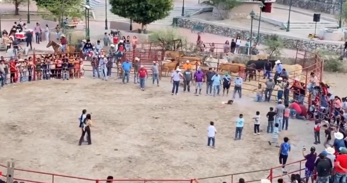Denuncian maltrato animal en Xichú.