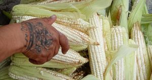 La alimentación en tiempos de inflación: el costo humano