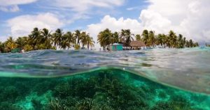 Olas de calor marinas matan miles de peces en aguas mexicanas y afectan a todo AL