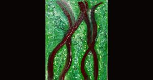 “La danza, su espiral.”