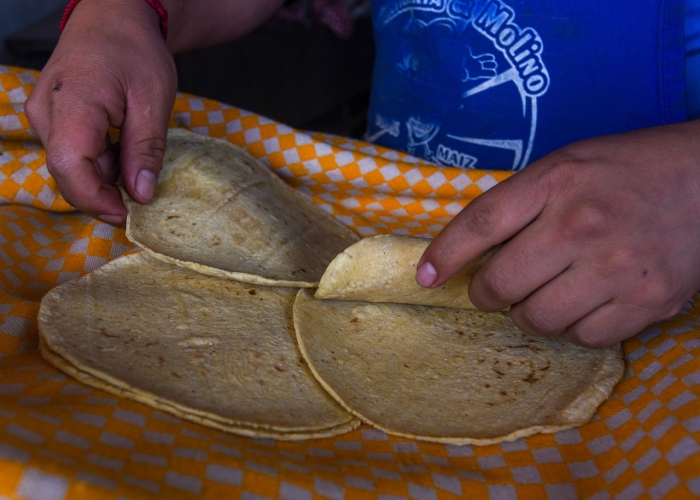 La científica mexicana Raquel Gómez Pliego desarrolló una tortilla de alto valor nutricional con el objetivo de combatir la desnutrición infantil en México.