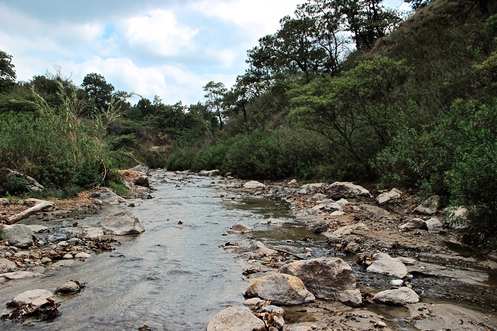 Bosque de la Primavera