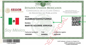 La Clave Única de Registro de Población (CURP) es un documento indispensable para realizar la mayoría de trámites en México, por lo que si requieres obtener una copia digital para comprobar tu identidad, a continuación te decimos cómo consultarla y descargarla en línea de forma sencilla.