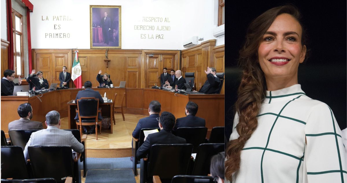 corte precedente caso sasha sokol