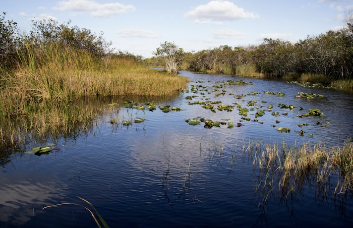 El Parque Nacional de Everglades, una reserva de humedales localizada en el sur de Florida, albergaría el mas nuevo centro de detención migrante de Trump.
