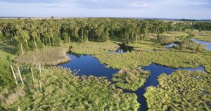El Parque Nacional de Everglades, una reserva de humedales localizada en el sur de Florida, albergaría el mas nuevo centro de detención migrante de Trump.