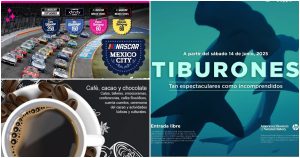 Actividades ara el fin de semana en la CdMx