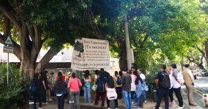 Salvar un árbol, ¿es salvar al mundo?