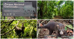 El Parque Nacional Corcovado es un punto imperdible en Costa Rica