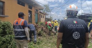 Restablecen servicios tras huracán "Erick".