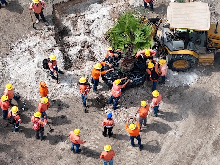 Ciudad de las Artes Nayarit