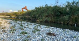 El río Santa Catarina no es un viaducto.