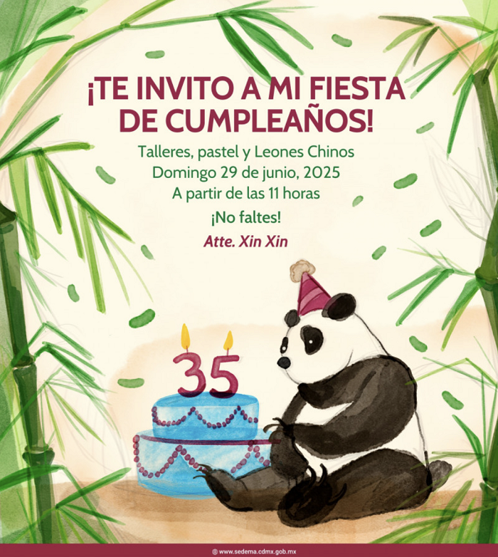 Xin Xin cumple años y lo celebra