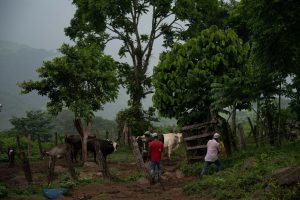 La diferencia entre las zonas rurales y urbanas del país sigue siendo marcada, concluyó la ENIGH.