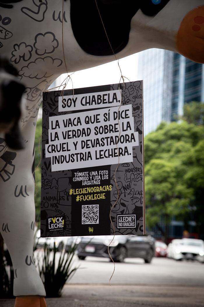 La escultura de Chabela lleva escritos y dibujados datos reales.