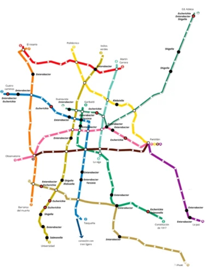 En un 5 por ciento de las estaciones se halló la presencia de materia fecal.