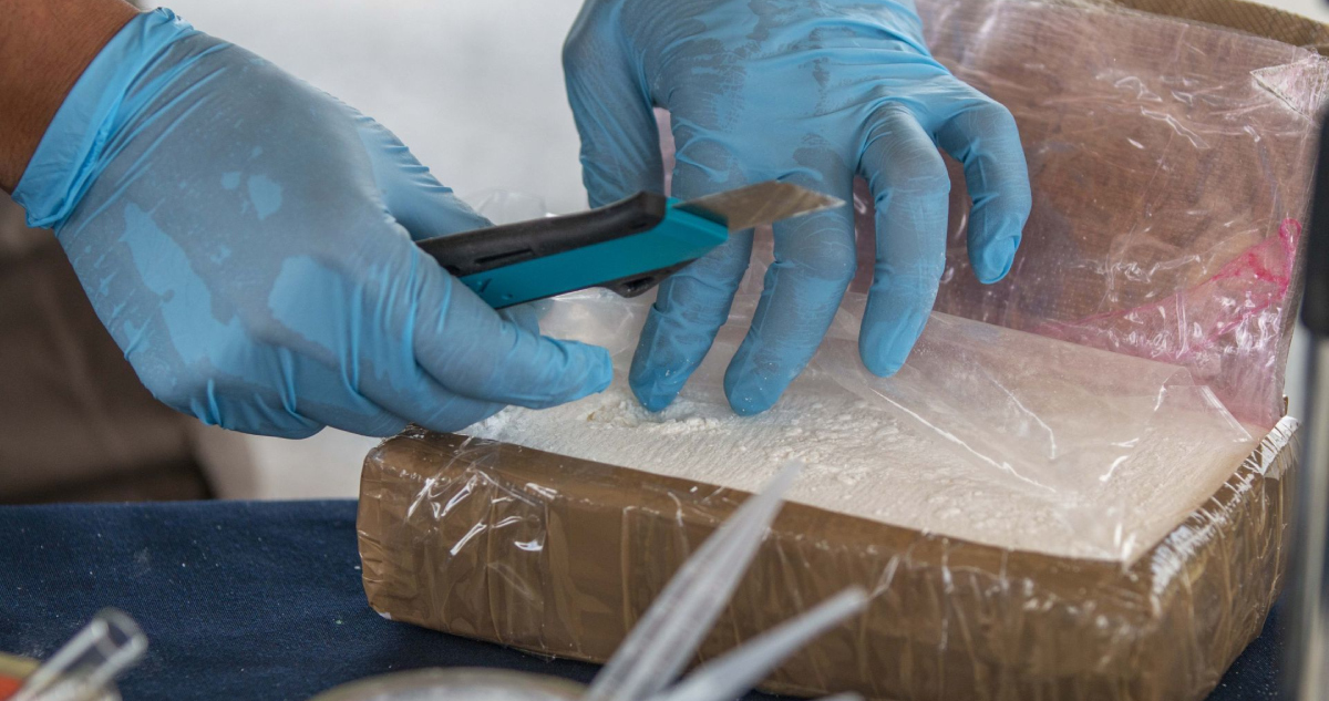 Fuerzas Armadas aseguran en Baja California más de una tonelada de droga.