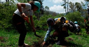 Decrecimiento y comunitarismo social