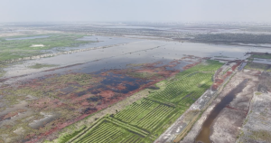 El lago de Texcoco aún es amenazado por intereses inmobiliarios y la contaminación.