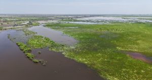 Fotografía tomada el 5 de julio de 2025 por la CONANP que muestra cómo el agua se acumula en el Área Natural Protegida Lago de Texcoco.