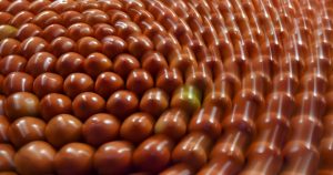 Claudia Sheinbaum consideró "injusta" la decisión de EU de imponer un arancel del 17.09% a la mayoría de las importaciones de jitomate fresco mexicano.