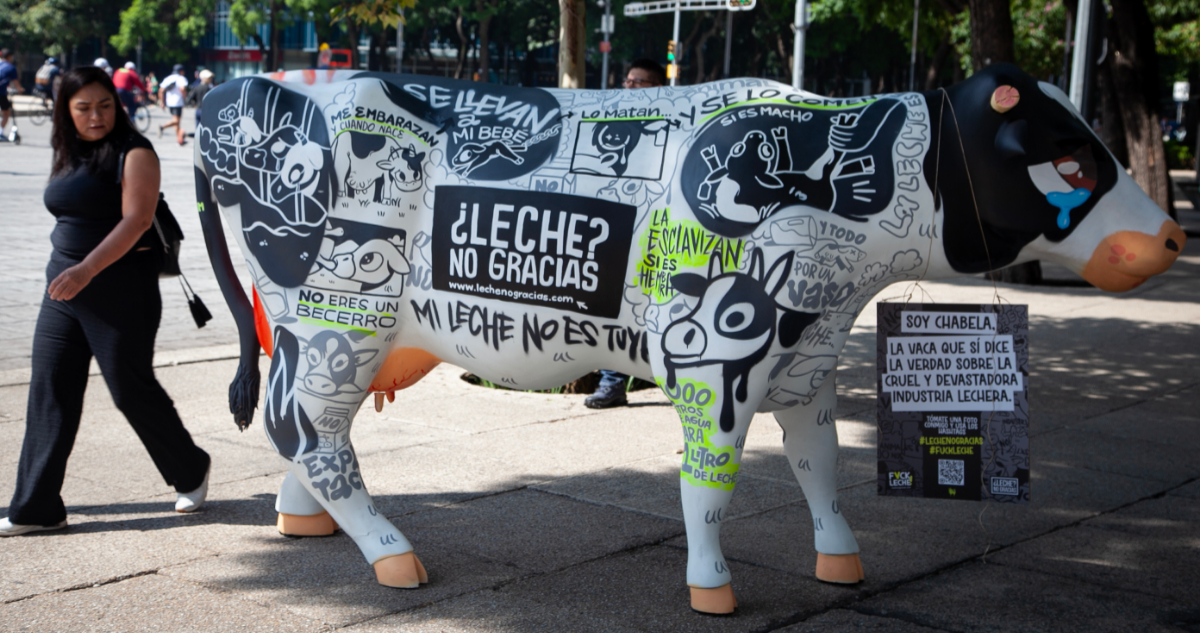 La escultura de Chabela lleva escritos y dibujados datos reales.