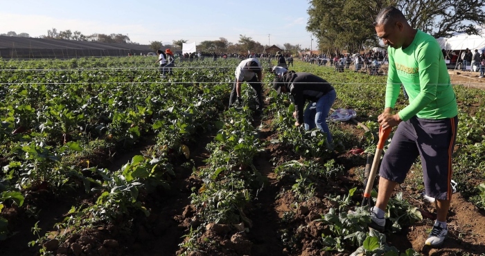 Decrecimiento y comunitarismo social III