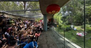 La historia de Xin Xin no es inspiradora.