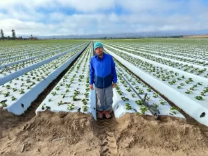 Félix Vázquez, un trabajador del campo, dice que ellos no son delincuentes.