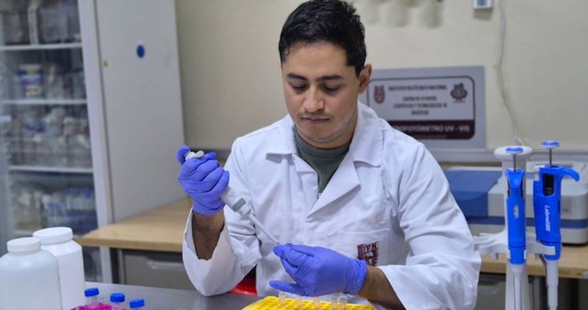 Investigadores del IPN desarrollan una prueba rápida para detectar la leucemia linfoblástica infantil, la cual permitirá la detección temprana de la enfermedad.